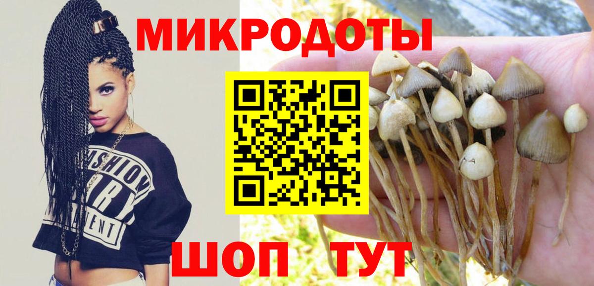 Псилоцибиновые грибы MAGIC MUSHROOMS  Вход с VPN  Лыткарино 